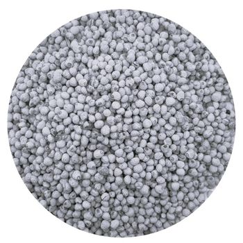 Raw Organic Perilla Seeds Supplied In Bulk Packs With Natural Taste And Fresh Harvest Quality - malter group - Tanzania