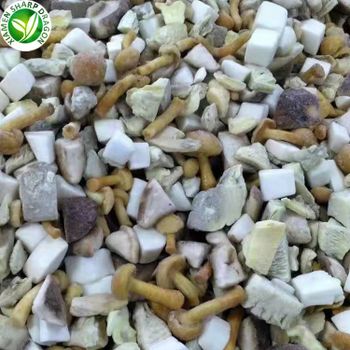 Frozen IQF Mixed Mushrooms selectable Nameko Oyster White Champion Button Shiitake Tricholoma Matsutake Butter Mushrooms - Xiamen Sharp Dragon International Trading Co.,Ltd - China