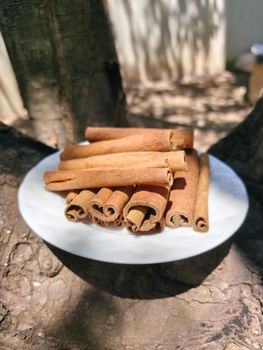 Indonesian Premium Cinnamon (Cassia) from Nusa Globalindo Commo Indonesian Premium Cinnamon (Cassia) - Nusa Globalindo Commo - Indonesia