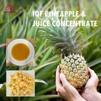 High quality Pineapple juice concentrate Brix 60° ± 1 Color Dark Yellow Shelf Life Min. 24 Months Degree Of Maturity Mature - Nafoods Group - Vietnam