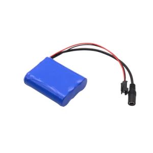 18650 Lithium Battery Pack Wholesale with CE Certification 11.1V 2200mAh Diaphragm Gun Electric Tool 12V Lithium Battery - Henan Cns Energy Technology Co., Ltd. - China