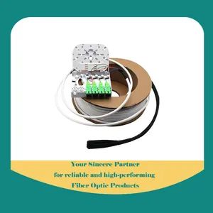 4 Port Fiber Optic Wall Outlet, Wall Outlet Fiber Faceplate with Pigtail - Shenzhen Opelink Communication Technology Co., Ltd. - China