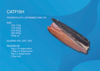 Frozen Walking catfish fillets Grade Grade A Origin Vietnam Carton Packaging 10kgs/carton Minimum Order Quantity 10,000kgs - Plexim JSC - Vietnam