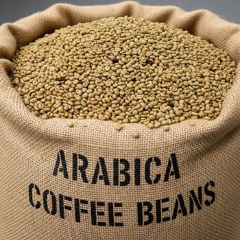 Organic Coffee Export Featuring Arabica Green Coffee Beans From Mountain Farms With Vacuum Packs - malter group - Tanzania
