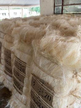 Raw Fiber UG SSUG Sisal Fiber We Can Supply Whatsap +255762500052 from AL JABLI TRADING COMPANY LIMITED Raw Fiber UG SSUG Sisal Fiber We Can Supply Whatsap +255762500052 – product photo, Sisal Fiber Bags products found from trusted suppliers, wholesalers, manufacturers & exporters Listing