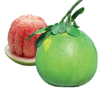 Vietnamese Pomelo FRESH/ FROZEN WHOLE AND MEAT Color Green Fruit Type Pomelo Sourness Not Sour Brix Level 9.5–12% Grade Special, A, B - Vina Pride Seafoods - Vietnam
