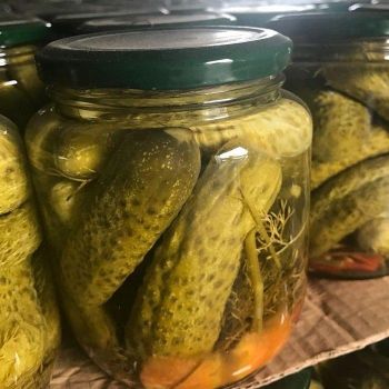 Pickled Gherkin Cucumber in Vinegar Brine Sour Flavor Canned Vegetables Vietnam Supplier Global Export - TRADECENTRIC LLC - United States