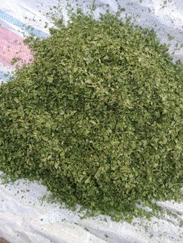 parsley Aroma Mild Packaging 25kg Color Vibrant Green Texture Mild Texture Place of Origin Egypt Form Flakes Or Powder Flavor Profile Easy, Sharp - Khirat Baladna KB for import & export - Egypt
