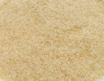 Long grain 5% broken diffrent varities - 21DDBPA8951B1Z7 - India