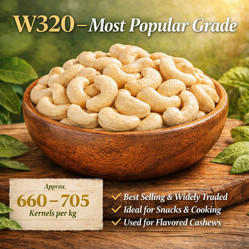 Premium Konkan Cashew W320| Fresh Regular Kaju Nuts | Goa-Origin Style –W320  Oh My Kaju™ – product photo, Premium Fresh Mango products found from trusted suppliers, wholesalers, manufacturers & exporters Listing
