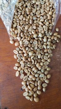 Green Beans Coffee robusta Organic No Decaffeinated No Bean Type Robusta Degree of Processing Raw - PT. Artha Mustika Raya - Indonesia