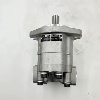 G5 Series Hydraulic Gear Pump G5-6-1e13s-20-R G5-16-1f13s-20r Hydraulic Pumps - Quanzhou Tejing Hydraulic Equipment Co., Ltd. - China