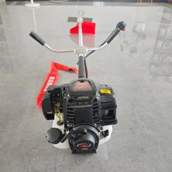 Petrol Power String Trimmer 4 Stroke Stable Popular Gasoline Brush Cutter - Zhejiang Jinhua Ruisen Garden Machinery Co., Ltd - China