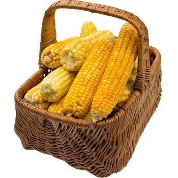 High Quality Dried Food Exporter Presenting Yellow Maize For Import Markets With Fresh Harvest from malter group High Quality Dried Food Exporter Presenting Yellow Maize For Import Markets With Fresh Harvest - malter group - Tanzania