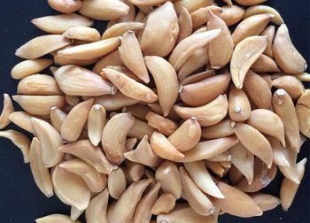 DEHYDRATED GARLIC FLAKES - SHREEJI EXPORT - India