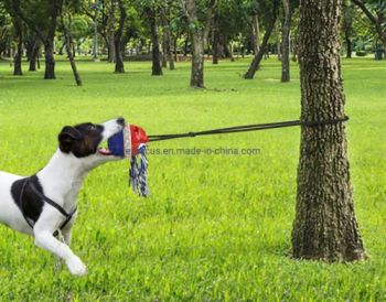 Dog Toys for Aggressive Chewers Large Breed Interactive Dog Toys Indestructible Dog Chew Toy for Aggressive Chewers Suction Cup Dog Toy Tug Toy for Dog Wbb17415 - Ningbo Ezfocus Co., Ltd. - China