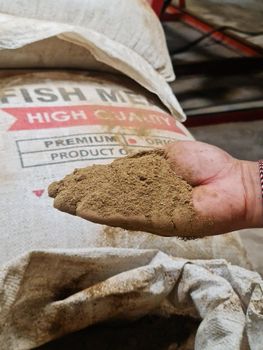 Fish Meal 60% Protein – Steam Dried, Low TVBN, Feed Grade, Bulk Supply Indonesia - Wooworks Indonesia - Indonesia