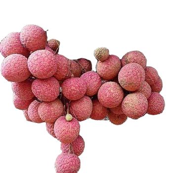 Vietnam Fresh Lychee (Litchis) for US, EU, ASIA Market Style Fresh Type Lichee Grade Export Size 0.25 Cm Weight 0.3 Kg Maturity - NGAN HOA PHAT TRADING SERVICE COMPANY LIMITED - Vietnam