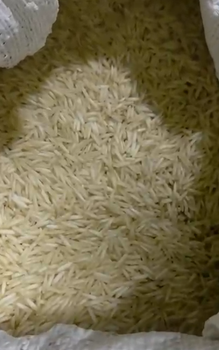 1121 Sella Basmati Rice - Spice Nova Exports - India