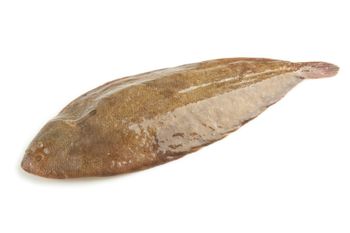 sole Weight 500g / 1kg - LOUKA PESCADOS - Morocco