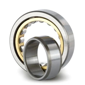 Cylindrical Roller Bearing N209e Rolling Mill Bearings OEM Available Origin Jiangsu Model NO. N209e HS Code 8482102000 Bore Size 1 - 10mm - Wuxi BLS Mechanical Transmission Technology Co., Ltd. - China
