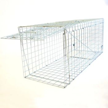 Collapsible Metal Wire Mesh Feral Cat Dog Animal Trap Cage Human Catch and Release Cage Large Live Wild Animal Trap - Hebei Rital Metal Products Co., Ltd. - China