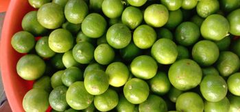 Lemon - SLV - India