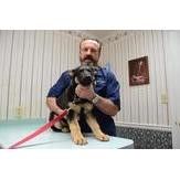 Product - Animal Medical Clinic - United States