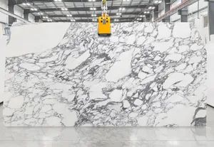 White Italian Luxury Arabescato Corchia Marble for Wall Panel, Floor Tile/ Countertop/ Vanity Top/Fireplace/Composite Panel/Tread - GIM STONE CO., LTD. - China