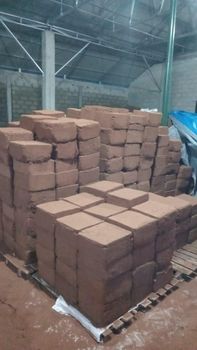 Cocopeat - Greenfield agro cultureindo - Indonesia