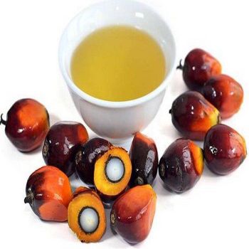 100% Pure & Natural Food Grade Refined Palm Oil Fractionated Cooking Oil Wholesale Bulk Purchase Manufacturer - Carla Pisselli Commercio - Brazil