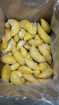 Frozen Durian - TROPIVINA DAKLAK JSC - Vietnam