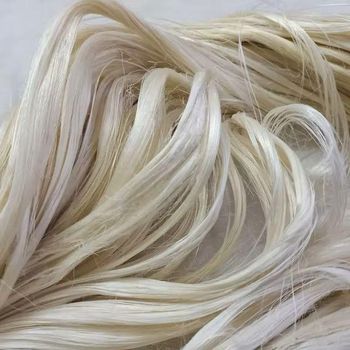 Quality Natural Sisal Fibre from SILVERSTONE IMPORT AND EXPORT LIMITED Quality Natural Sisal Fibre - SILVERSTONE IMPORT AND EXPORT LIMITED - Tanzania