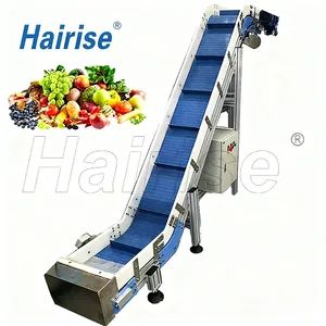 Incline Belt Conveyor with Skirt Belt - Food Conveyor, Belt Conveyor - Mujia Automation Technology (Shanghai) Company Limited - China