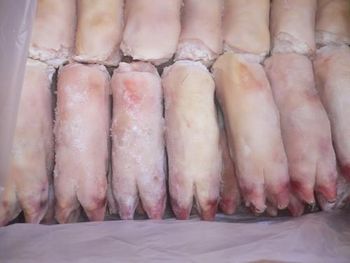 High Quality Organic Fresh Frozen Pork Front Hind Feet BQF Process Vacuum Pack Economical Price Export Nutritious from agroturaspzoo High Quality Organic Fresh Frozen Pork Front Hind Feet BQF Process Vacuum Pack Economical Price Export Nutritious - agroturaspzoo - Poland