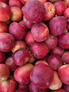 Fresh Royal Gala Apples For Sale from NINE FRUITS EXPORTS (PTY) LTD Fresh Royal Gala Apples For Sale - NINE FRUITS EXPORTS (PTY) LTD - South Africa