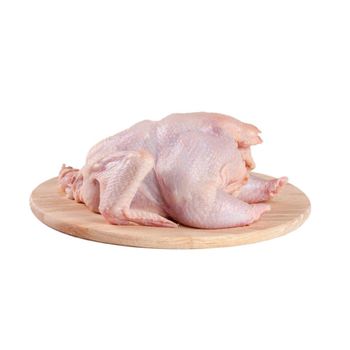Frozen Whole Skinless Chicken, Premium Quality, Wholesale - N.G westen holding B.V - Netherlands