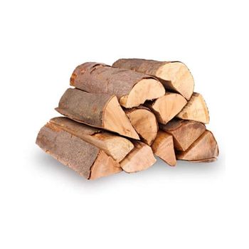 Premium beech logs supplied in bulk for furniture and construction projects - BMU TRADING GMBH - Germany