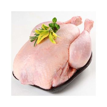 Frozen Whole Chicken / Frozen Chicken for sale Halal Frozen Whole Chicken Clean Whole Frozen Chicken For Sale - MASI TRADING GMBH - Germany