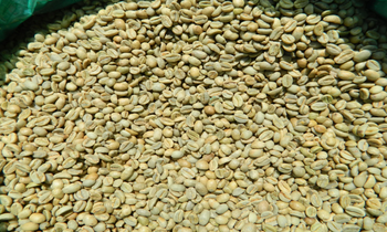 Coffee Bean (Raw/Green) Grade 4 Place of Origin Sidamo, - Diligent Trade Solutions - Ethiopia