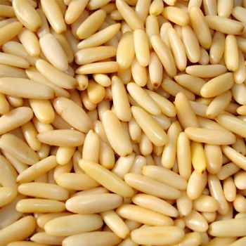 Premium Pine Nuts Wholesale Bulk Natural Pine Seeds Cheap and Affordable Supplier for Cooking Baking and Snacks - A.C.P. AGRICULTURE COMPANY LIMITED - Thailand