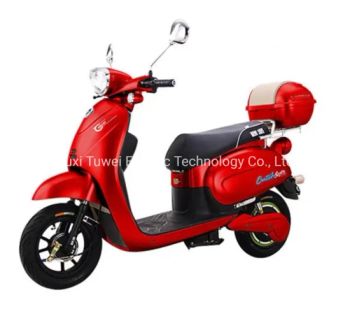 Newly Energy Electric Scooters/Electric Motor Scooters Non Foldable - WUXI TOURWE ELECTRIC TECHNOLOGY CO., LTD. - China