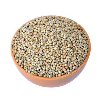 Top grade pearl millet bulk supply premium bajra export quality - HIGHPROFILE AGRICULTURE SERVICES LIMITED - Tanzania