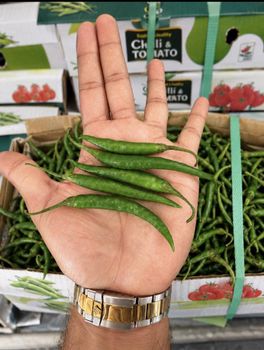 Green Chilli - AARK globalex fz LLC  - United Arab Emirates