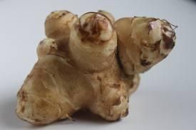 Jerusalem Artichoke Form Tuber Texture Ginger-like Flavor Nutty, Sweet Origin North America Usage Eaten Raw Or - ADEPT IMPEX PVT LTD - India