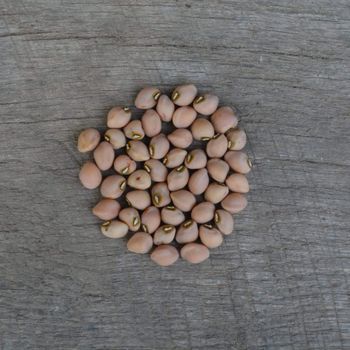 Black Eyed Peas 98% Purity Dried Grain Selection For Export Packaging And Bulk Buyer Requirements - TOSOH INTERNATIONAL - South Africa