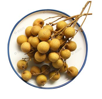 Fresh Fruit Premium Fresh Longan From Vietnam Fresh Longan Sweet Longan Tropical Fruit Wholesale - WE ECO INTERNATIONAL IMPORT - EXPORT COMPANY LIMITED - Vietnam