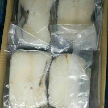Frozen Boiled Cooking Conger Eel Factory Wholesale Seafood Frozen Food Headless Roasted Eel - Jiangsu e.Funs Import & Export Co., Ltd. - China