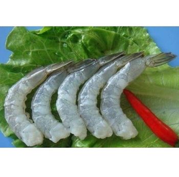 Frozen Prawns Tail Carefully Selected Ocean Catch Providing 99% Natural Seafood Integrity For Bulk Food Demand - TOSOH INTERNATIONAL - South Africa