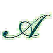 Product - Azalea Orthopedics - United States